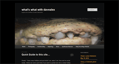 Desktop Screenshot of davealex.com